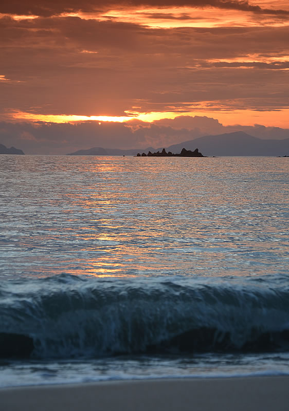 DSC_1494.jpg