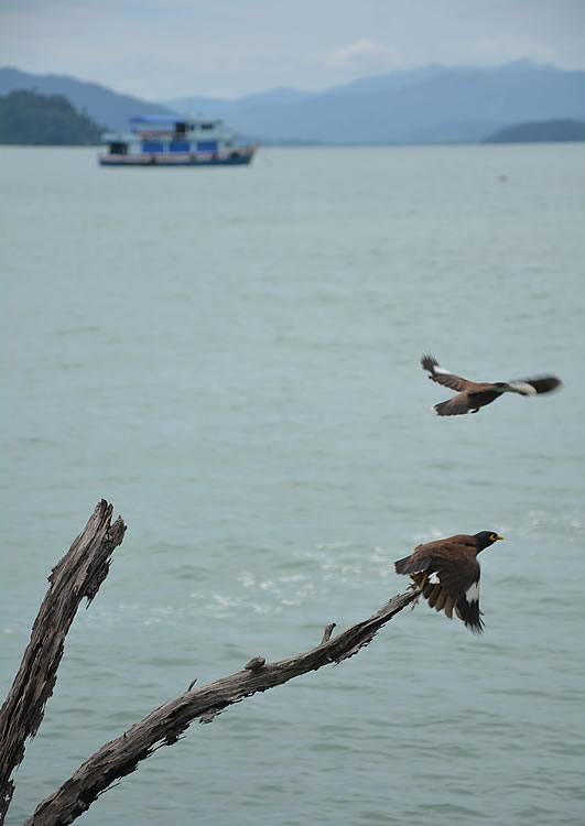 DSC_1583.jpg
