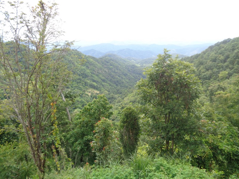 Doi Suthep view 2