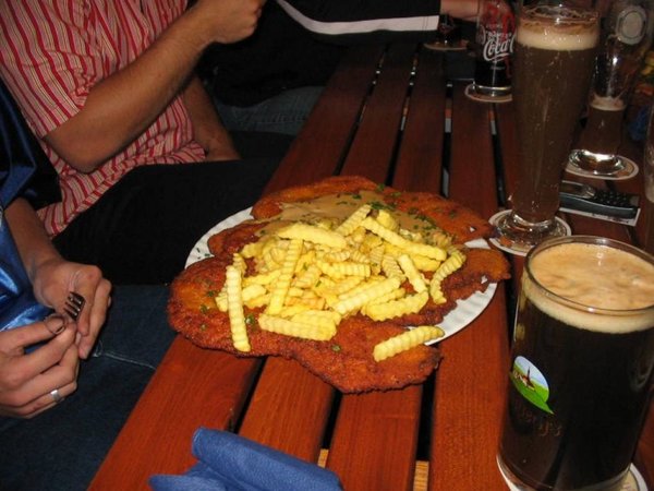 Snitzel (765 x 574).jpg