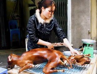 Doggie for supper,jpg (312 x 238).jpg