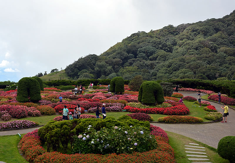 DSC_1917.jpg