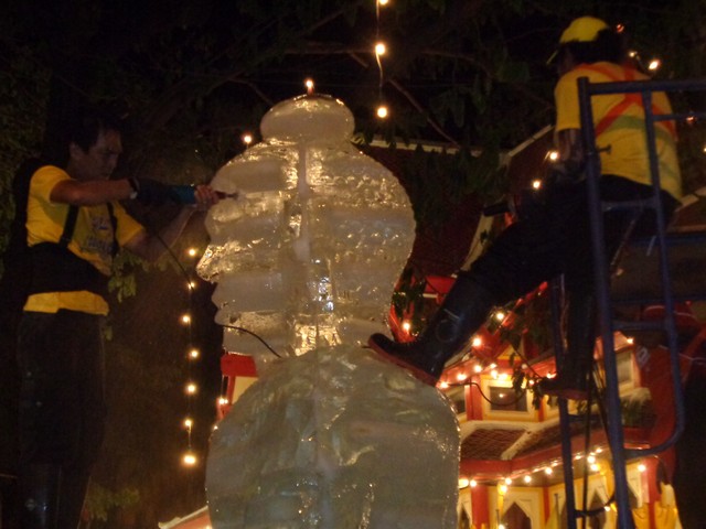 DSC00231.jpg
