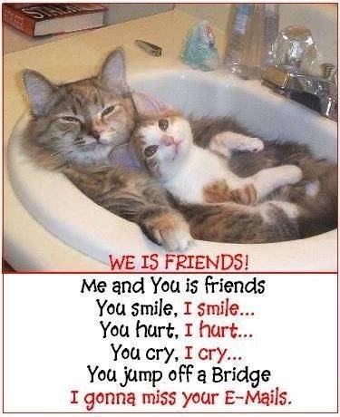 friend 1.jpg