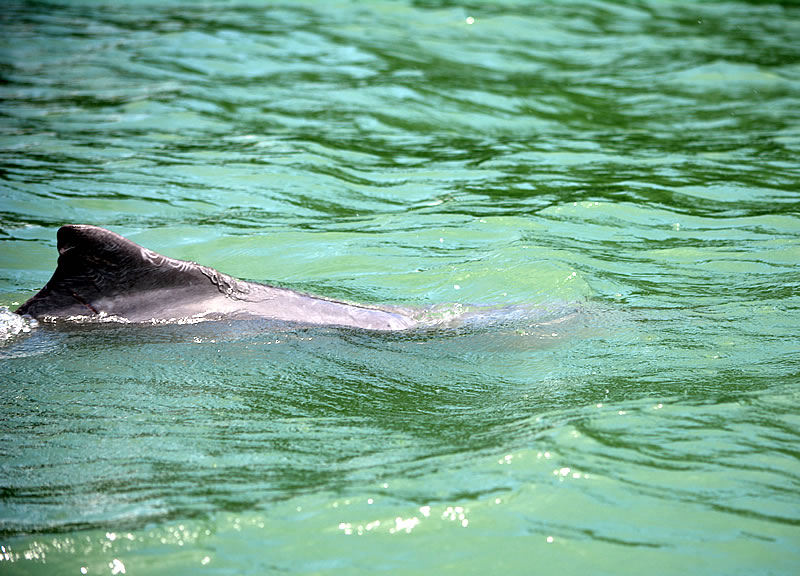 DSC_0176.jpg