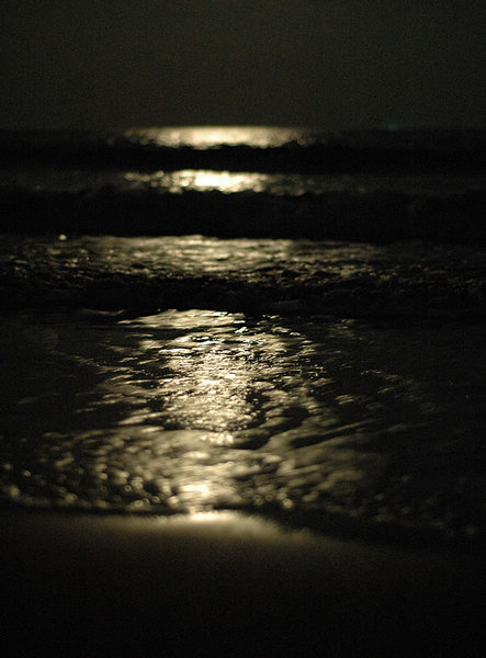 Ocean moonlight