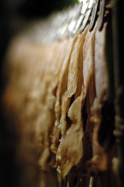 Dried squid
