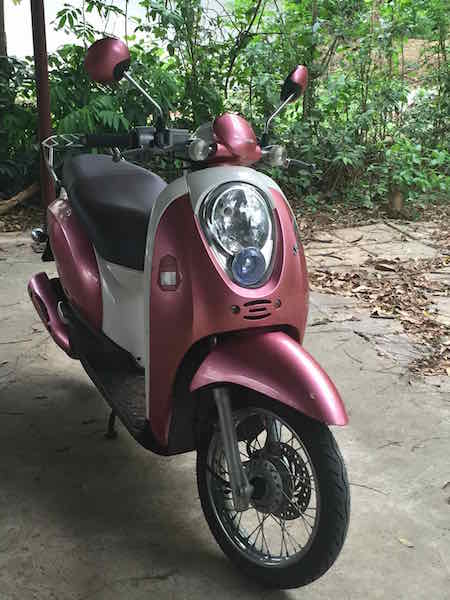 Scoopy_3.jpg