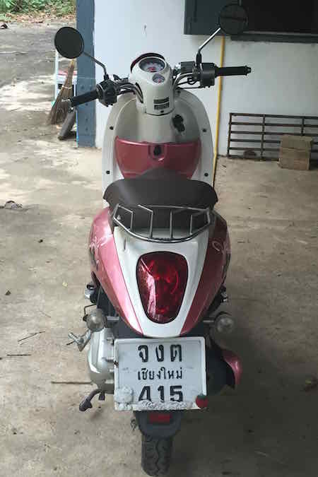 Scoopy_4.jpg