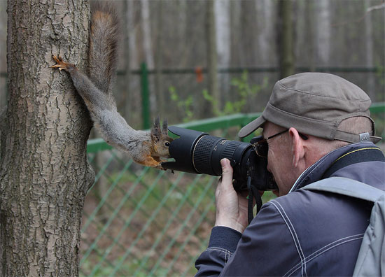 Squirrel-Close-Up.jpg