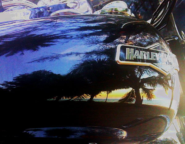 harley at coco.jpg