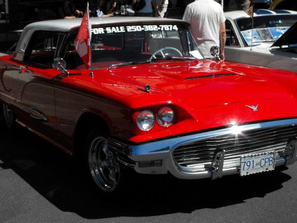 58Bird.jpg