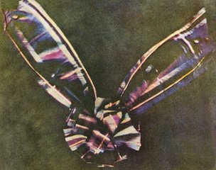 pic.jpg