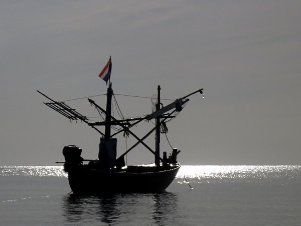 backlitBoat-max800.JPG