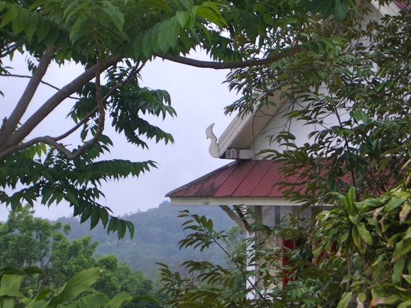 IMGP4992.jpg