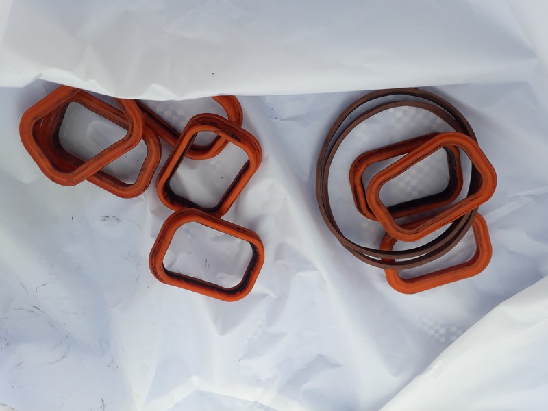 A bag of gaskets/seals?