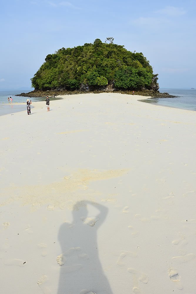 DSC_0500.jpg