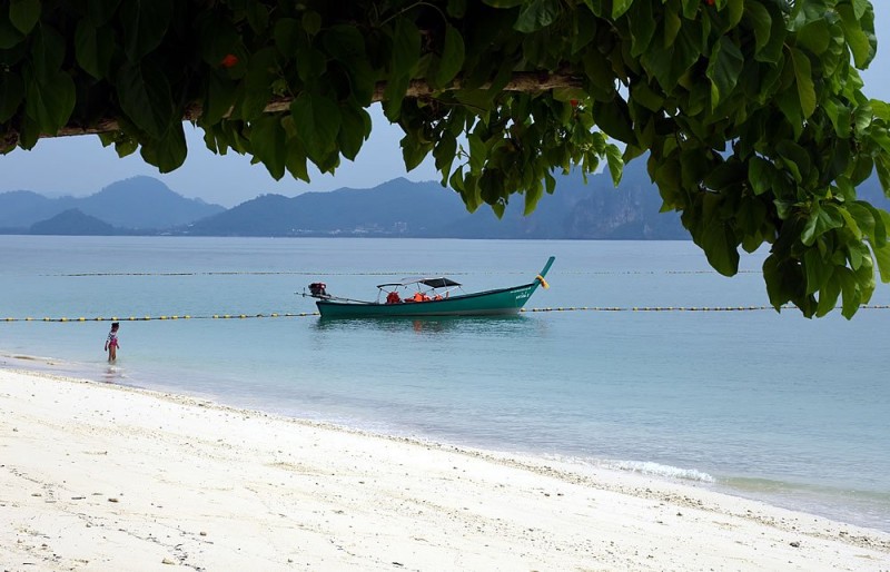 DSC_0606.jpg