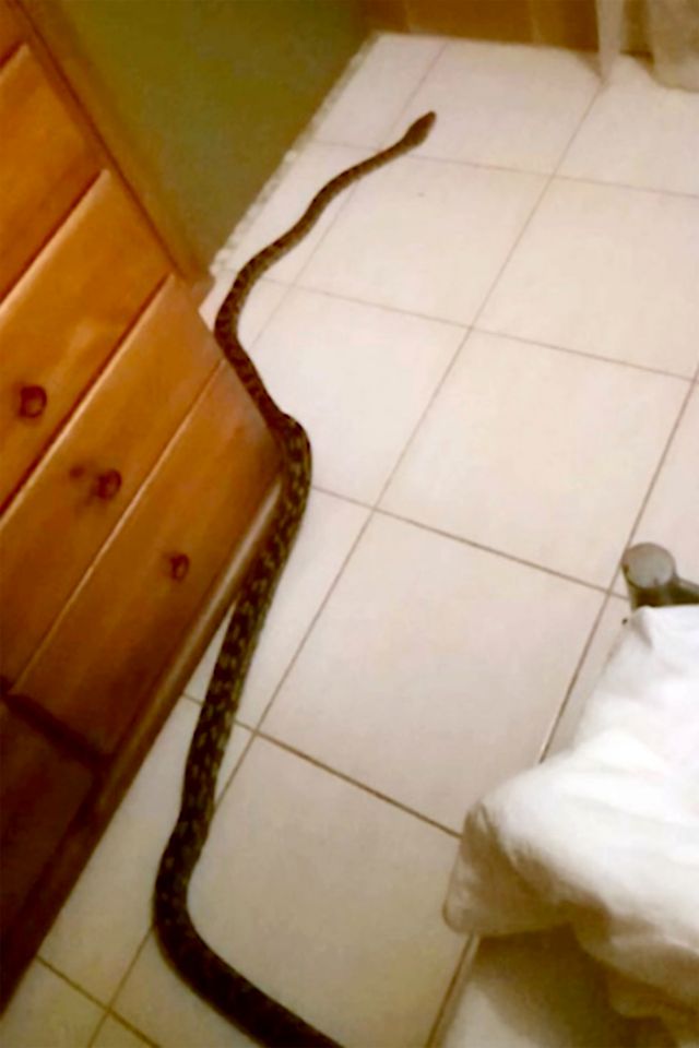 4aa323af6b1256492194d26f9a979d4c.jpg