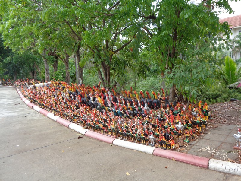 DSC02096.jpg