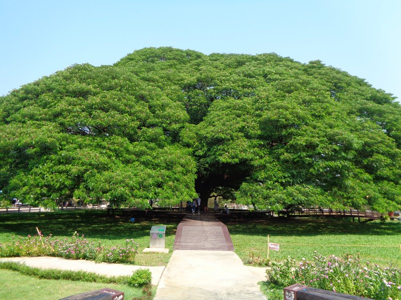 DSC02010.jpg