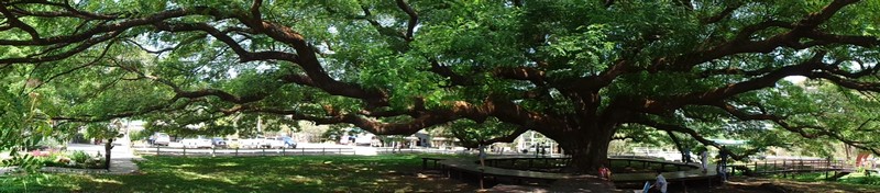 DSC02011.jpg