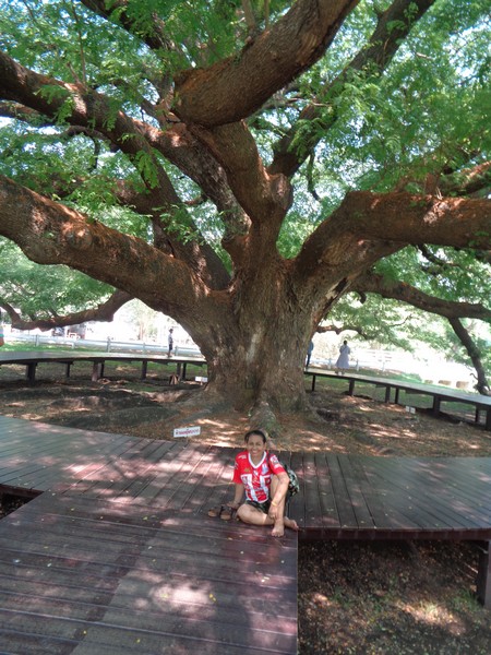 DSC02012.jpg