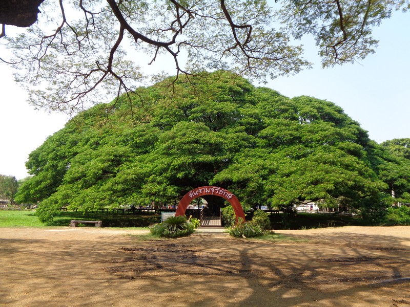 DSC02014.jpg