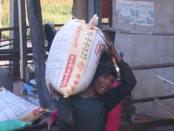Rice bagged and ready for the store.jpg