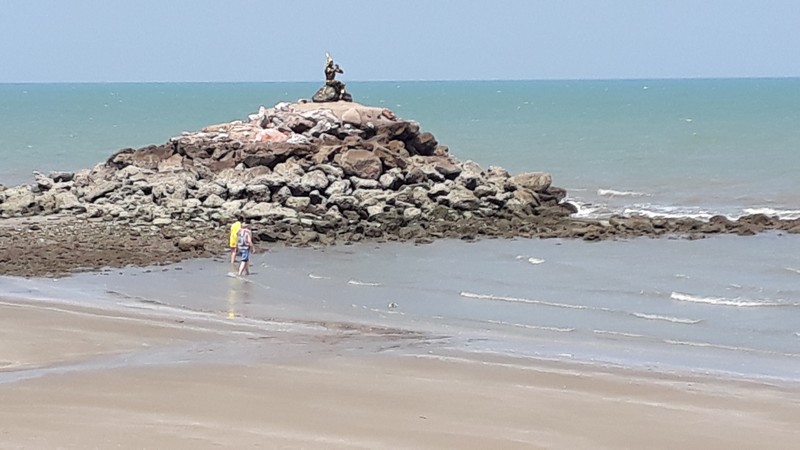 20190426_141529.jpg