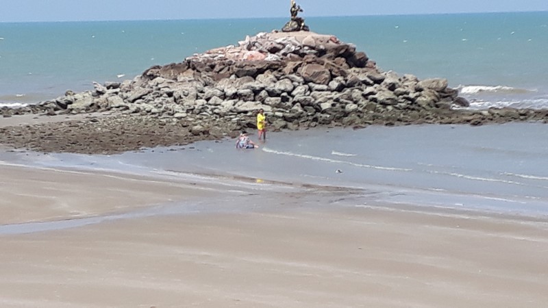 20190426_141544.jpg