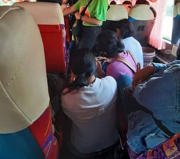bus sml.jpg