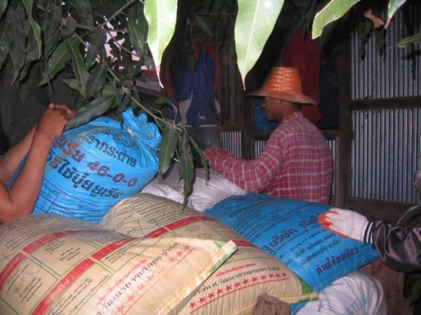 Rice to the barn.jpg