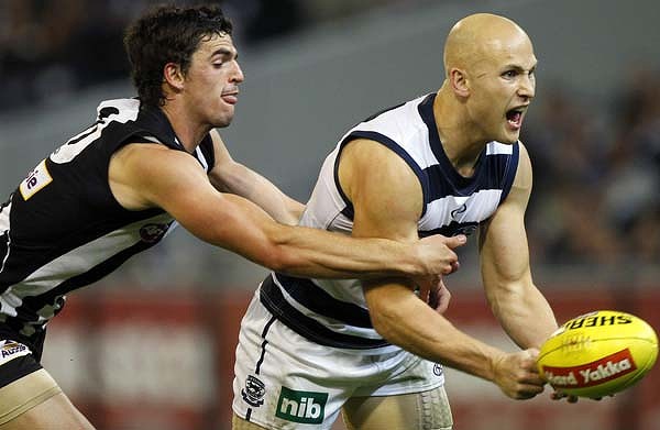 svGEELONG11-600x400.jpg