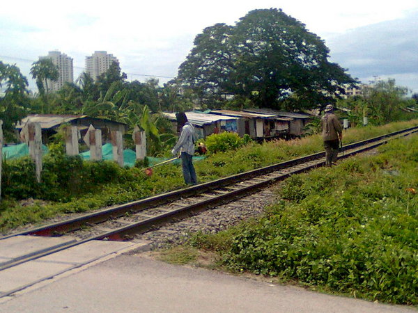 Nokia2730-2011-08-15-02434-trainWeedCut-8.jpg