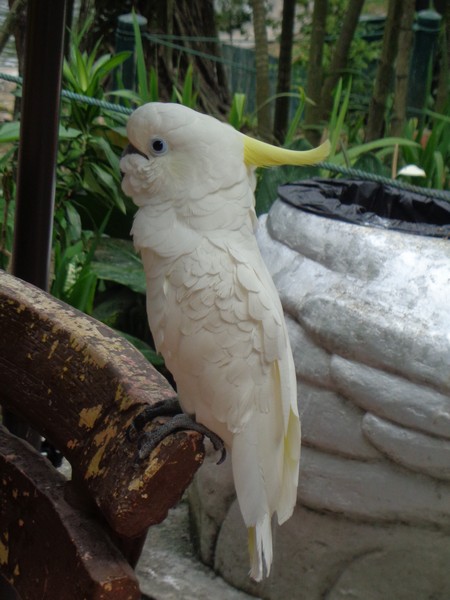 DSC00338.jpg
