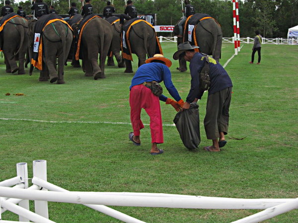 04536-ChangFollowers.jpg