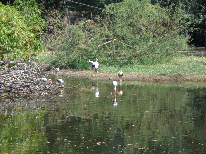 DSC01121.jpg
