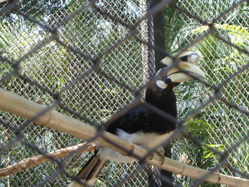 DSC01138.jpg
