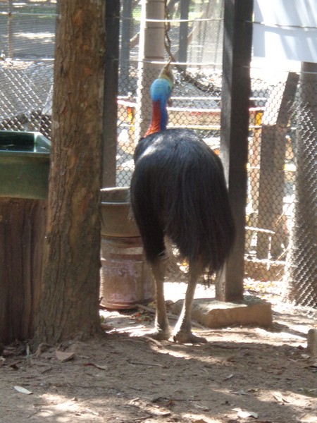 DSC01139.jpg