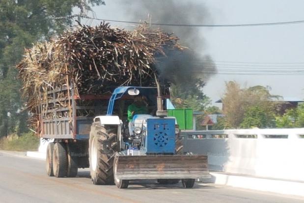A tractor hauls harvested sugarcane on a road between Bang Krathum and Wang Thong districts in Phitsanulok on Sunday, with smoke from a burning field in the background. (Photo by Chinnawat Singha)