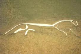 white horse.jpg