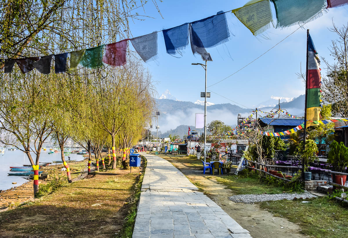 DSC_3120.jpg