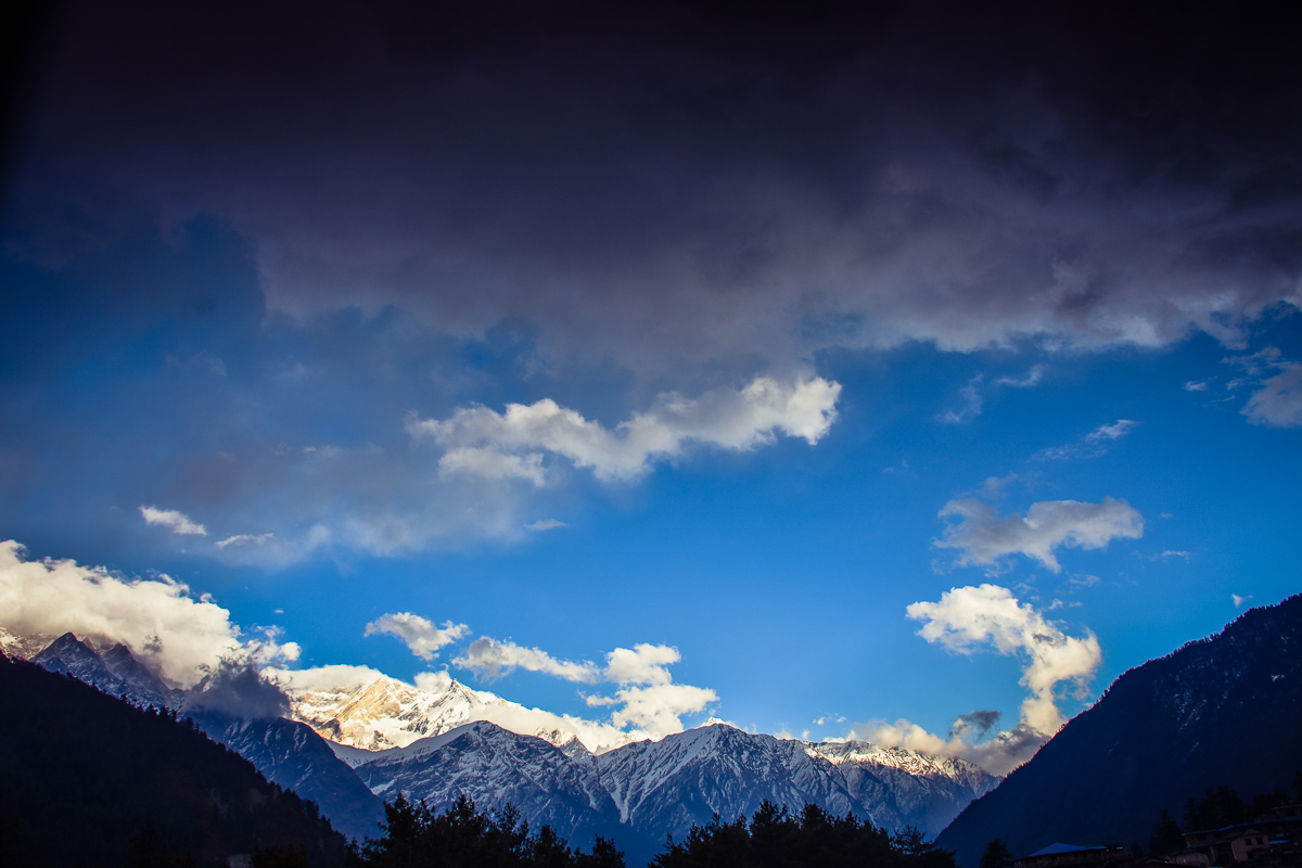 DSC_3379.jpg