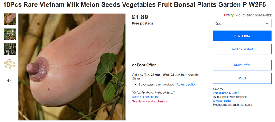 Melon Seeds.PNG