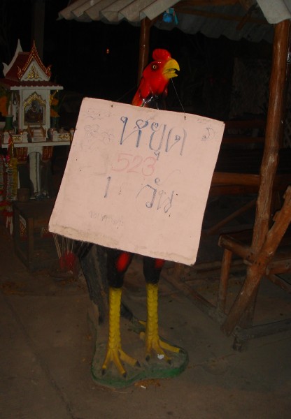 HHF Chuck 2.jpg