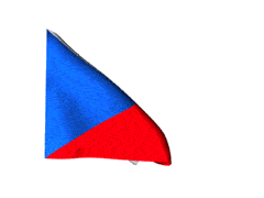 ezgif.com-gif-maker (1).gif