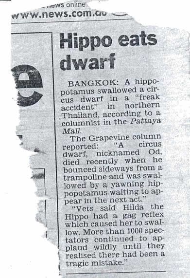 hippo-dwarf.jpg