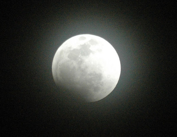 DSC_6413.jpg