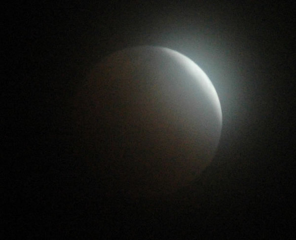 DSC_6452.jpg